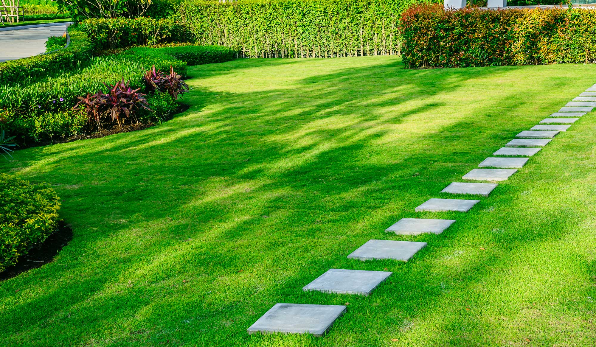 Lawn Services Ct