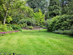 How to get rid of crabgrass and quackgrass