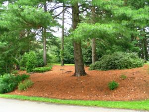 HOA landscaping projects