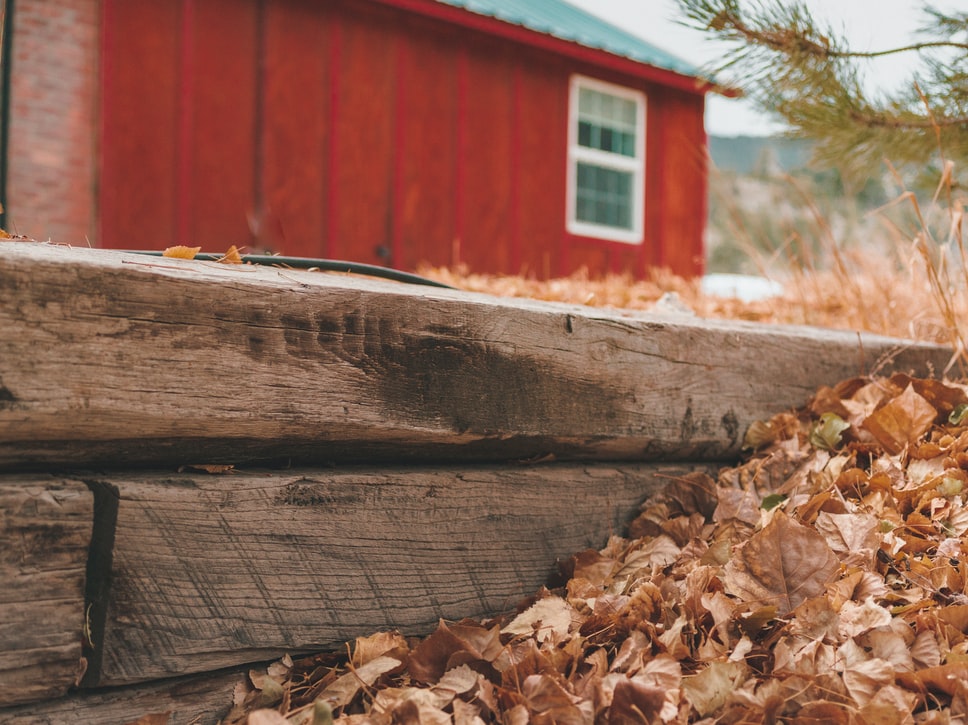 yearly fall yard cleanup services