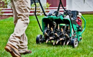 aerating your lawn is important in autumn