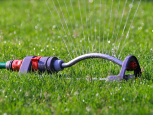 water your lawn in the late fall time in Minnesota