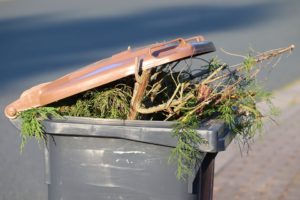 don't prune your plants in the late fall time