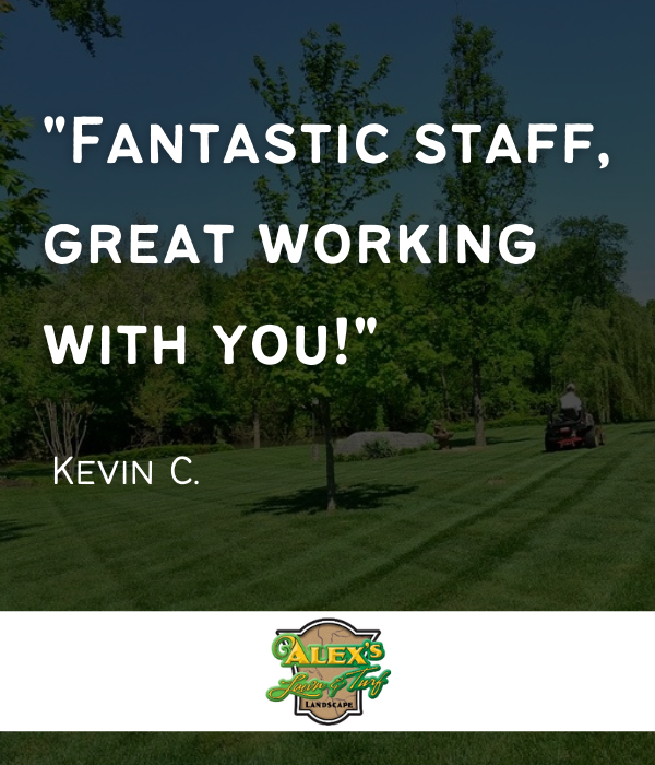 Alex Lawn & Turf - snow & lawn service in MN