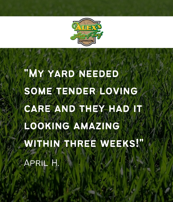 Alex Lawn & Turf - Lawn & snow service in MN