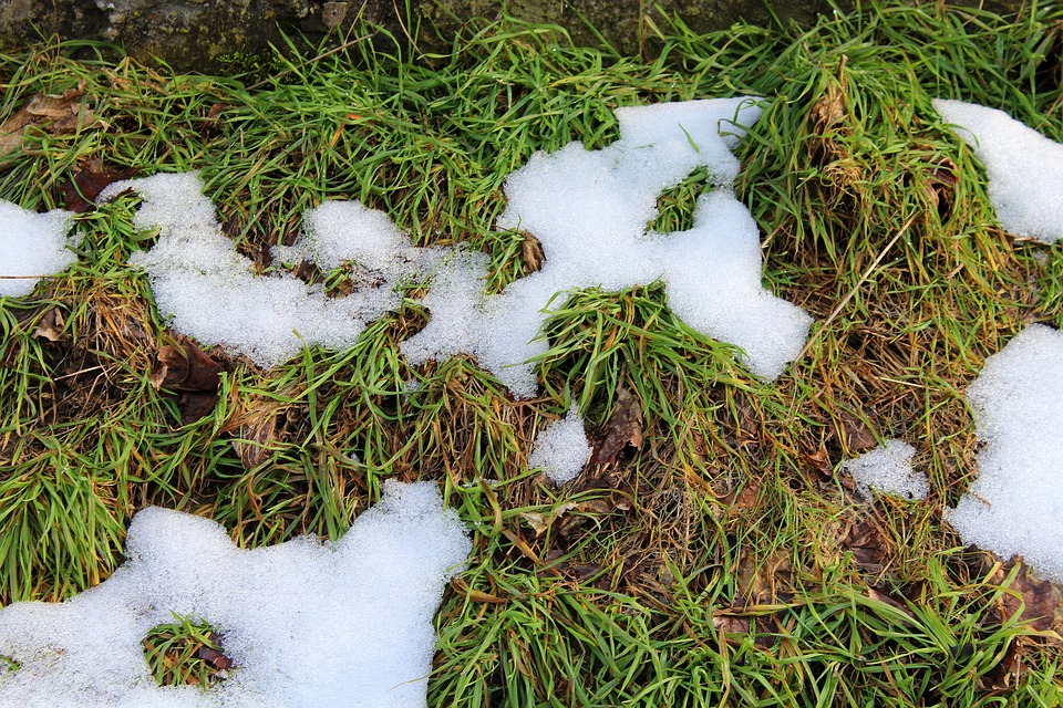 preparing your lawn for springtime in MN