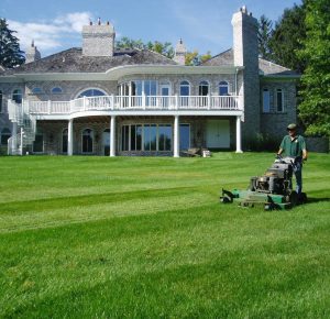 maintaining a minnesota large grass yard